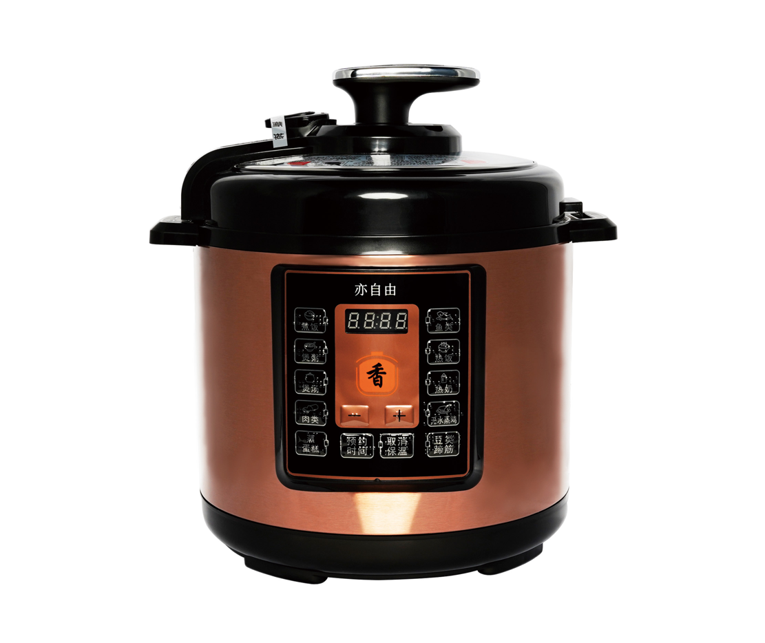 Braille voice electric pressure cooker
