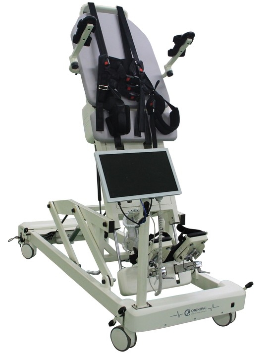 Lower limb feedback rehabilitation training system