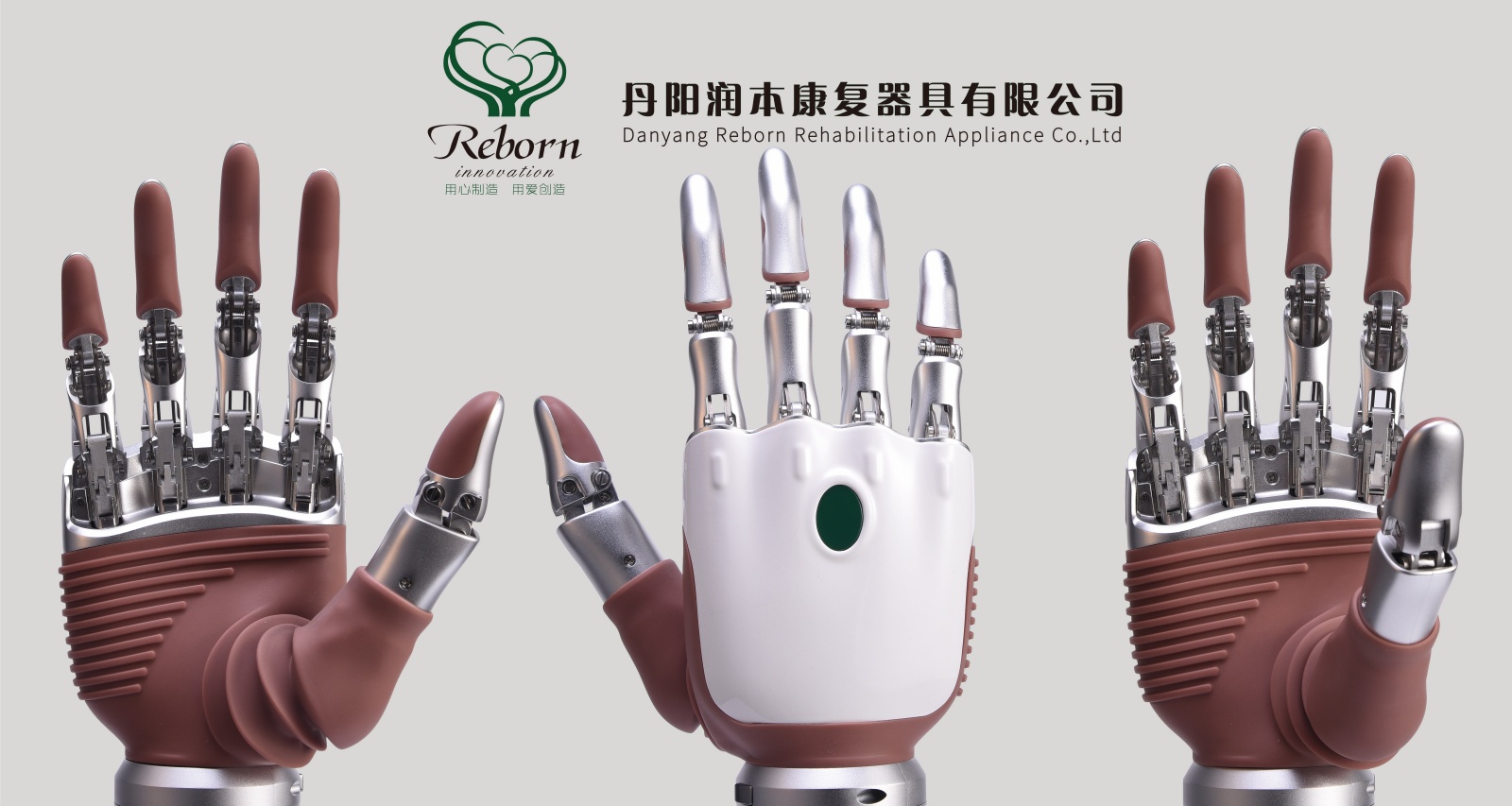 Intelligent Bionic Prosthesis