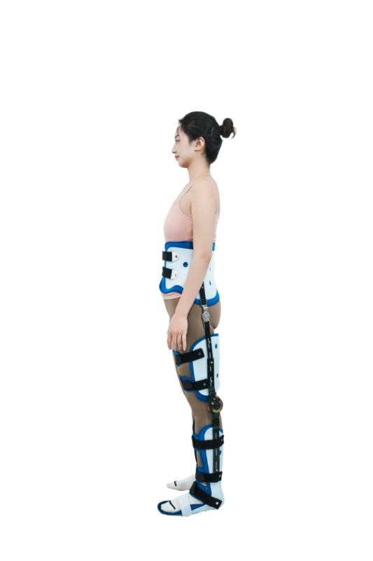 Lower Limb Orthosis-